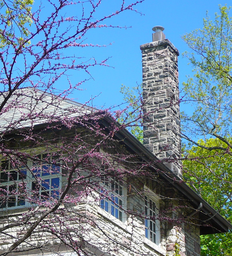 chimney in Toronto